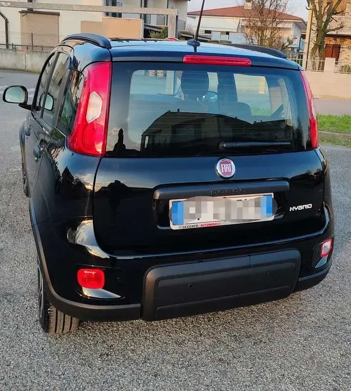 Usata Fiat Panda Cross Cross 69 CV (50 kW) 2021 Utilitaria