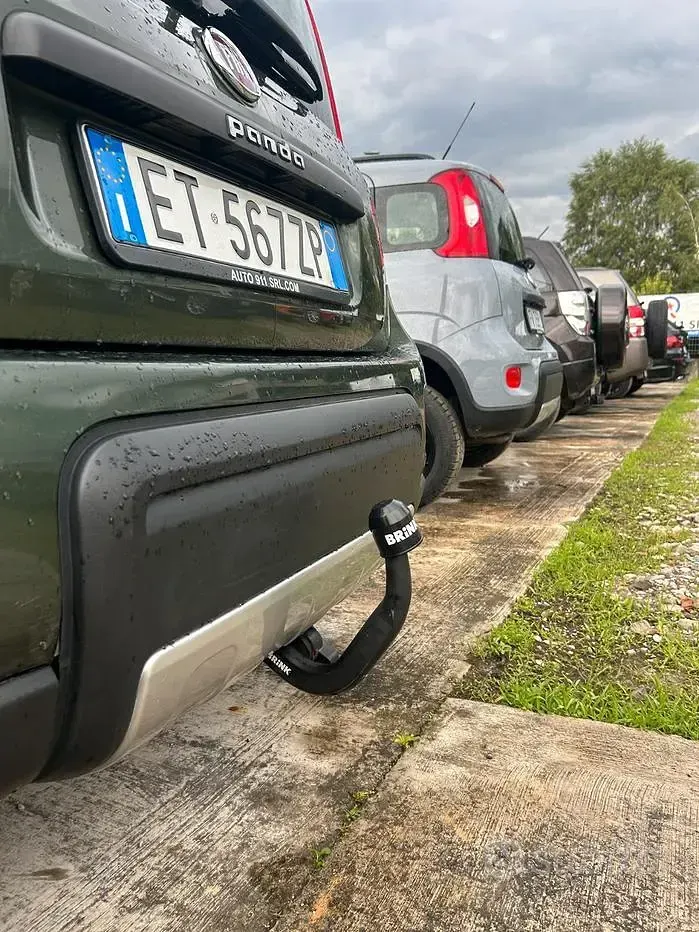 Usata Fiat Panda 4x4 75 CV (55 kW) 2014 Verde Utilitaria