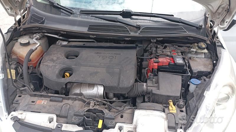 Usata Ford Fiesta 70 CV (51 kW) 2011 Bianco Utilitaria