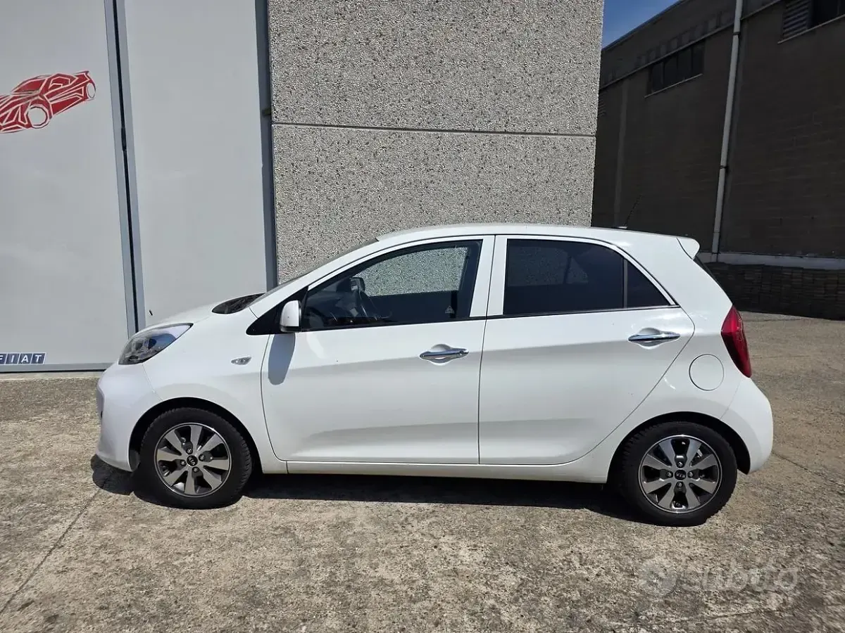 Usata Kia Picanto 66 CV (48 kW) 2016 Bianco Utilitaria