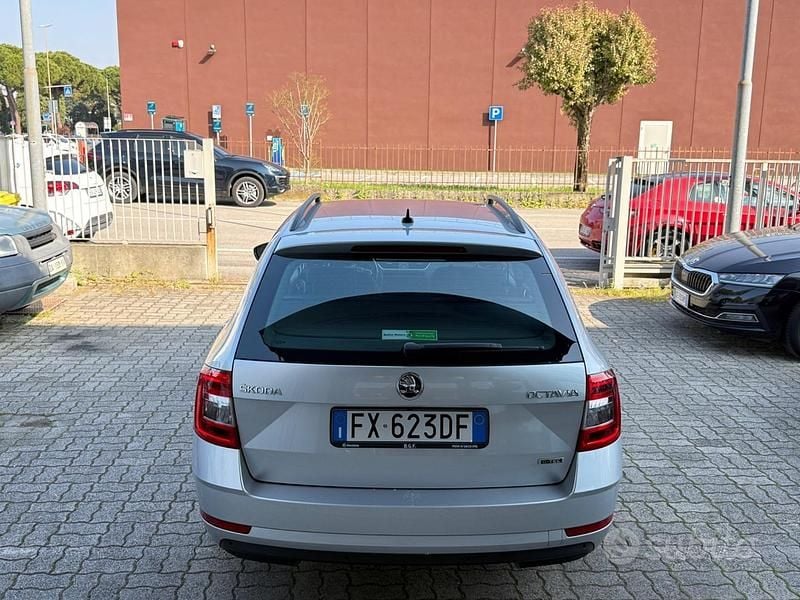 Usata Skoda Octavia G-TEC Style 130 CV (95 kW) 2019 Grigio Station wagon