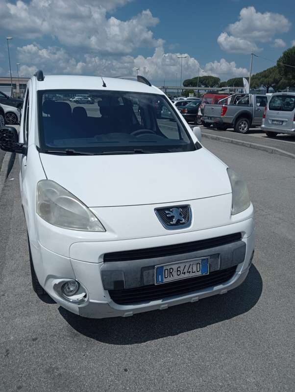 Venduto Peugeot Partner Tepee 1.6 90CV - auto usate in vendita
