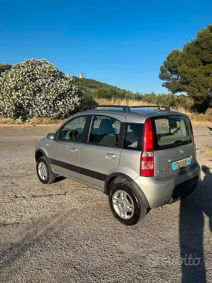 Usata Fiat Panda 4x4 75 CV (55 kW) 2006 Grigio Utilitaria