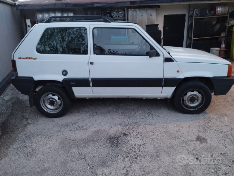 Usata Fiat Panda 4x4 54 CV (39 kW) 2000 Bianco Utilitaria