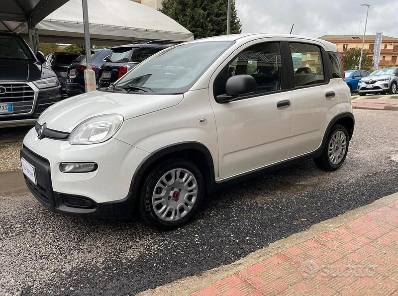 Usata Fiat Panda Cross Cross 69 CV (50 kW) 2023 Bianco Utilitaria