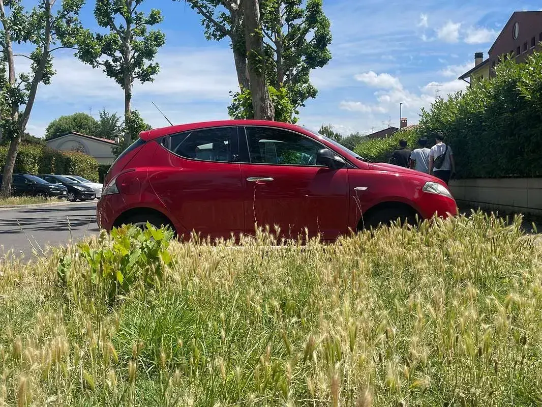 Usata Lancia Ypsilon 95 CV (69 kW) 2018 Rosso Utilitaria