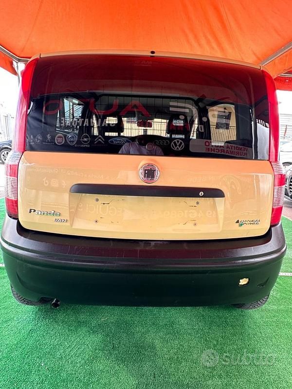 Usata Fiat Panda Active 60 CV (44 kW) 2009 Giallo Utilitaria