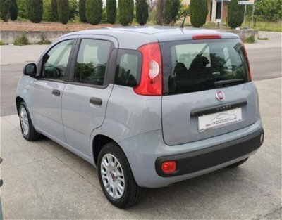 Usato 2018 Fiat Panda 1.2 Benzin 69 CV (9.500 €)