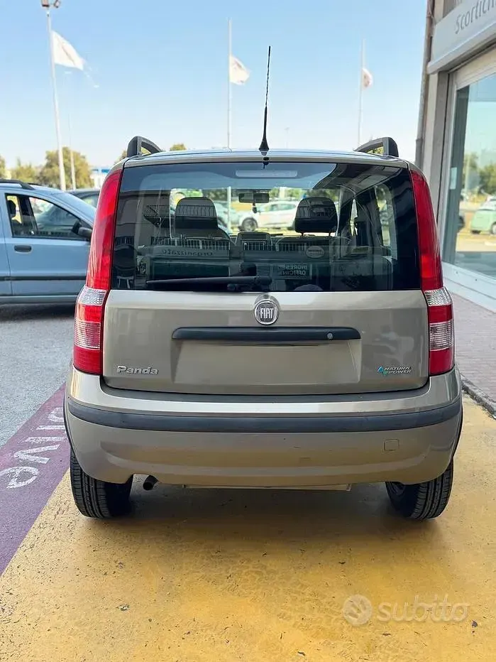 Usata Fiat Panda Dynamic 60 CV (44 kW) 2007 Marrone Utilitaria