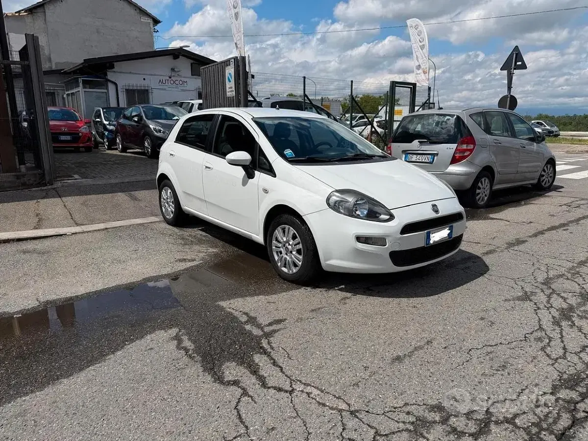 Usata Fiat Punto Evo S 77 CV (56 kW) 2013 Bianco Utilitaria