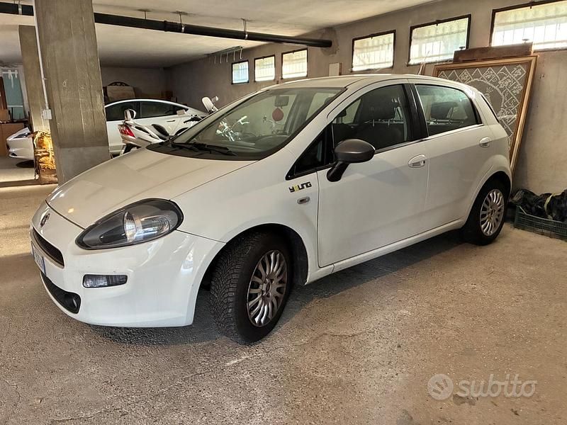 Usata Fiat Punto Young 69 CV (50 kW) 2015 Bianco Berlina