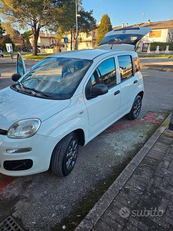 Usata Fiat Panda 2014 Bianco Utilitaria
