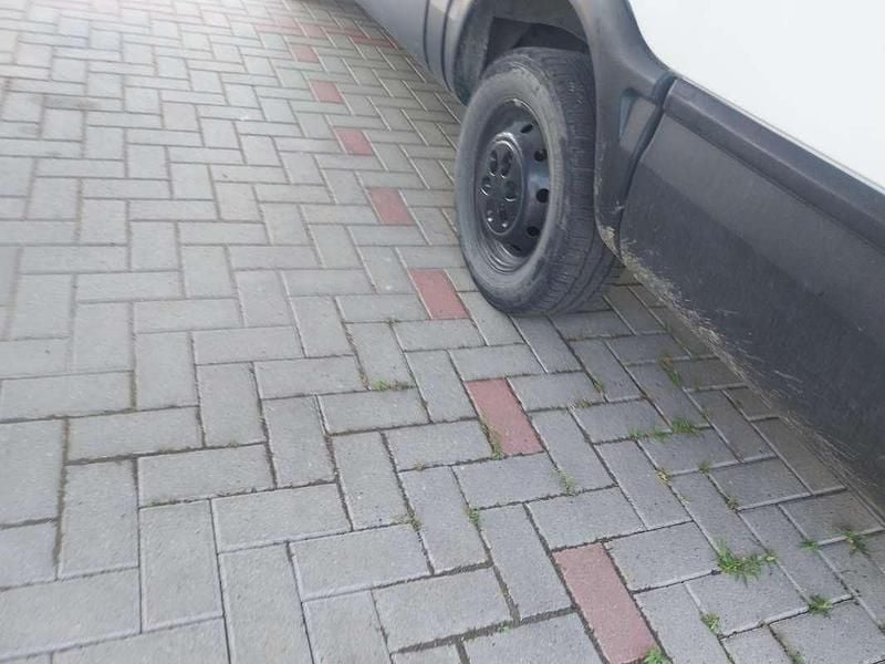 Usata Iveco Daily 116 CV (85 kW) 2009