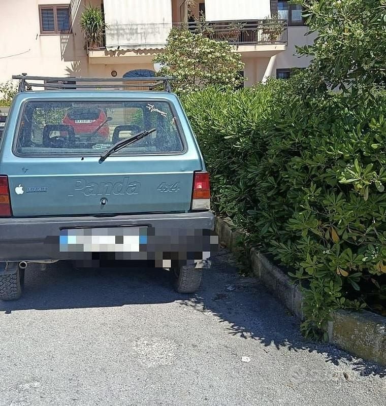 Usata Fiat Panda 4x4 54 CV (39 kW) 2001 Verde Utilitaria