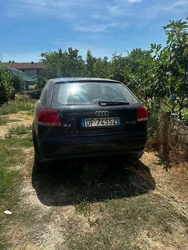 Usata Audi A3 Ambiente 90 CV (66 kW) 2001 Utilitaria