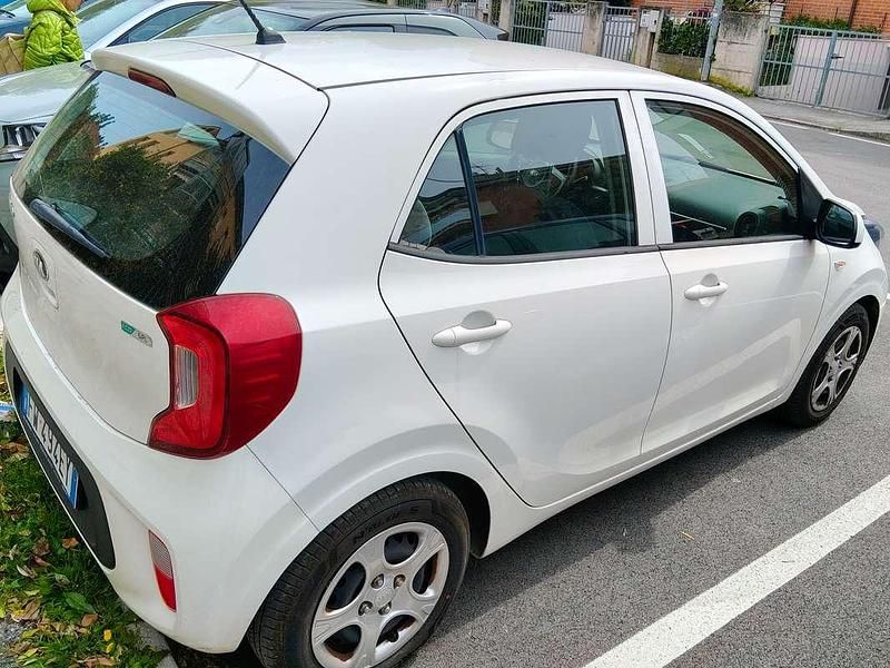 Usata Kia Picanto City 67 CV (49 kW) 2019 Bianco Utilitaria
