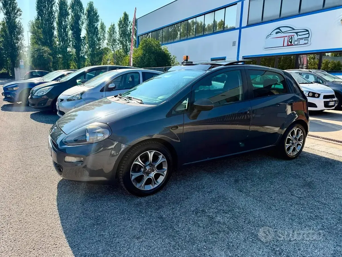 Usata Fiat Punto Lounge 85 CV (62 kW) 2015 Grigio Utilitaria