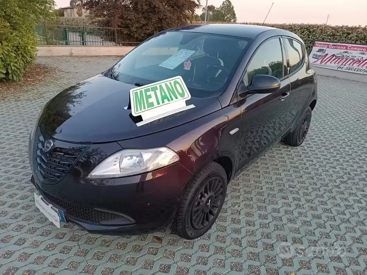 Usata Lancia Ypsilon Gold 80 CV (58 kW) 2014 Viola Utilitaria