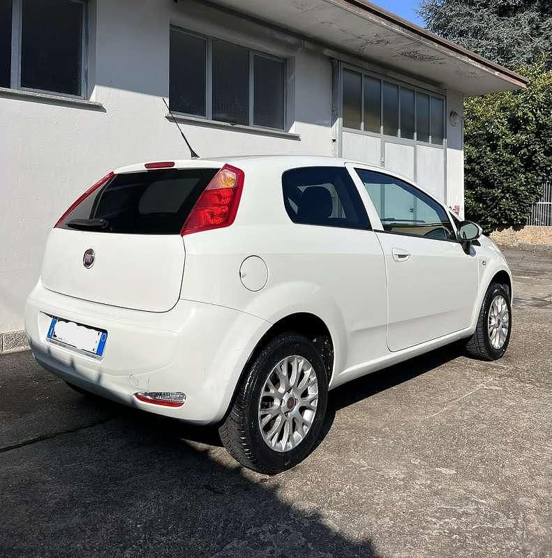 Usata Fiat Punto Evo 77 CV (56 kW) 2015 Bianco Utilitaria