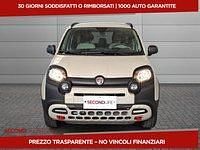 Usata Fiat Panda Cross Cross 86 CV (63 kW) 2024 Beige Utilitaria