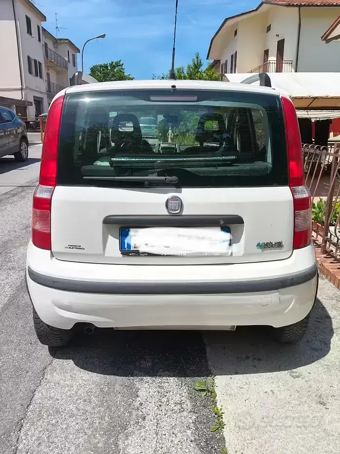 Usata Fiat Panda 60 CV (44 kW) 2012 Bianco Utilitaria