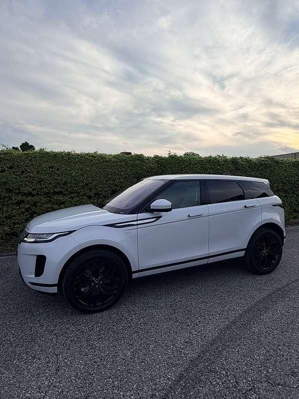 Usata Land Rover Range Rover evoque S 200 CV (147 kW) 2020 Bianco SUV