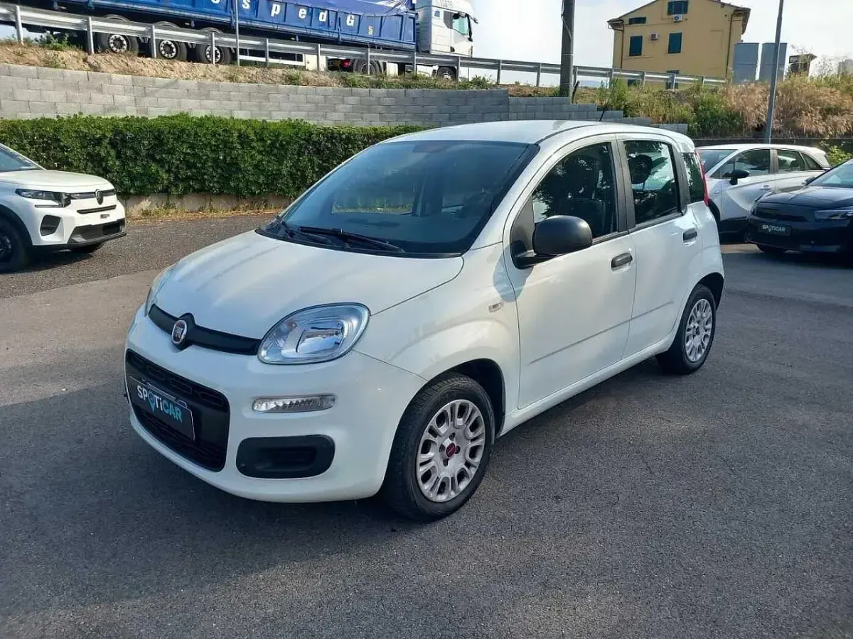 Usata Fiat Panda Easy 69 CV (50 kW) 2019 Utilitaria