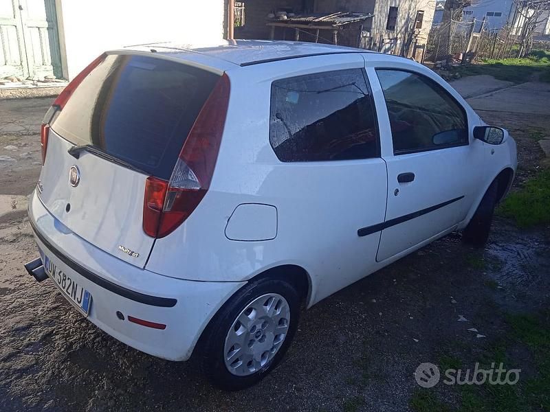 Usata Fiat Punto 69 CV (50 kW) 2009 Bianco Utilitaria