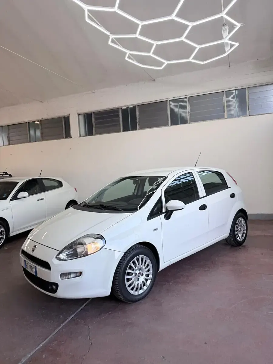 Usata Fiat Punto Lounge 75 CV (55 kW) 2015 Utilitaria