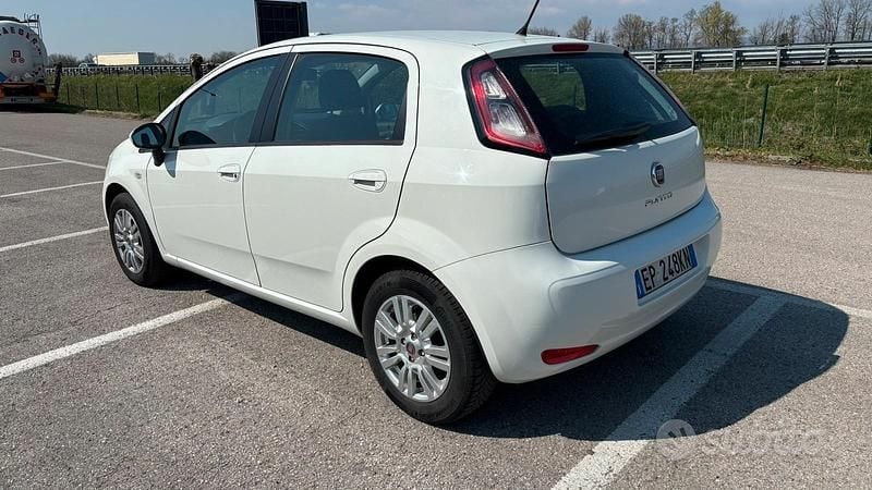 Usata Fiat Punto 77 CV (56 kW) 2012 Utilitaria