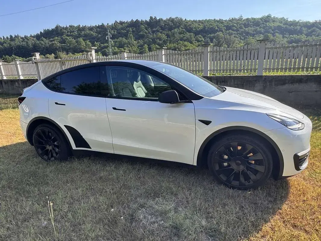 Usata Tesla Model Y 152 kW (208 CV) 2022 SUV