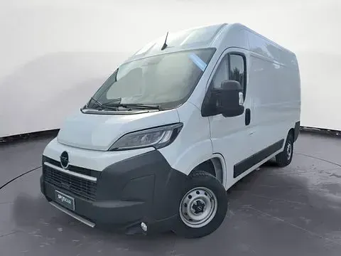 Usata Opel Movano S 140 CV (102 kW) 2026 Furgone
