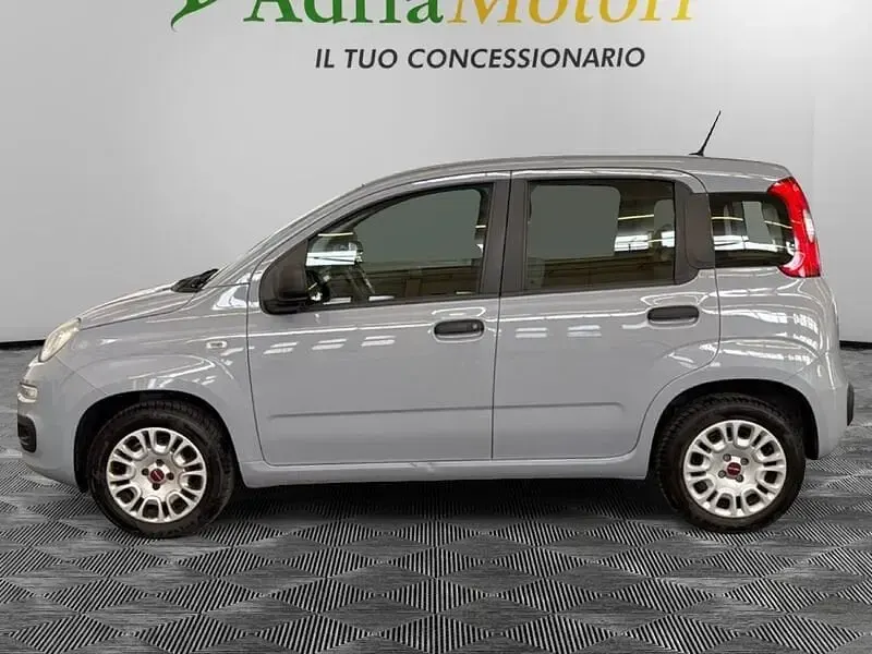 Usata Fiat Panda Lounge 69 CV (50 kW) 2020 Grigio Utilitaria