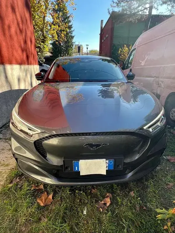 Usata Ford Mustang Mach-E Standard Range 100 kW (136 CV) 2024 SUV