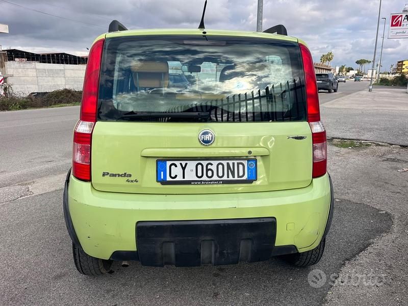 Usata Fiat Panda 4x4 Climbing 59 CV (43 kW) 2006 Verde Utilitaria