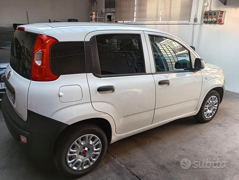 Usata Fiat Panda Pop 69 CV (50 kW) 2019 Bianco Utilitaria