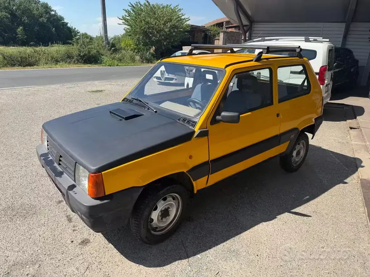 Usata Fiat Panda 4x4 Trekking 54 CV (39 kW) 1995 Utilitaria
