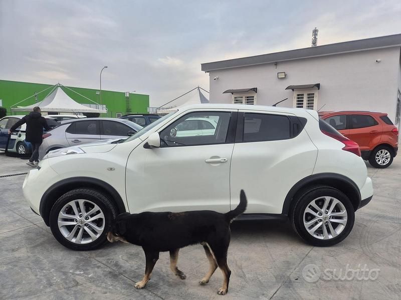Usata Nissan Juke Acenta 110 CV (80 kW) 2011 Bianco SUV
