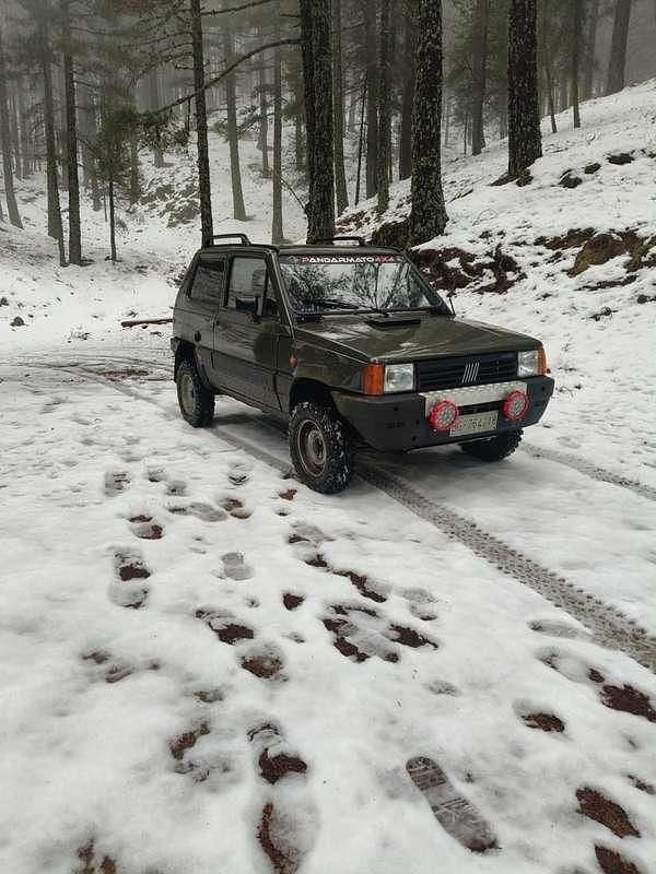 Usata Fiat Panda 4x4 48 CV (35 kW) 1985 Utilitaria