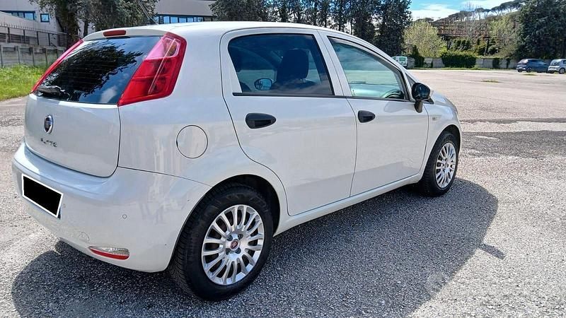 Usata Fiat Punto 77 CV (56 kW) 2016 Bianco Utilitaria
