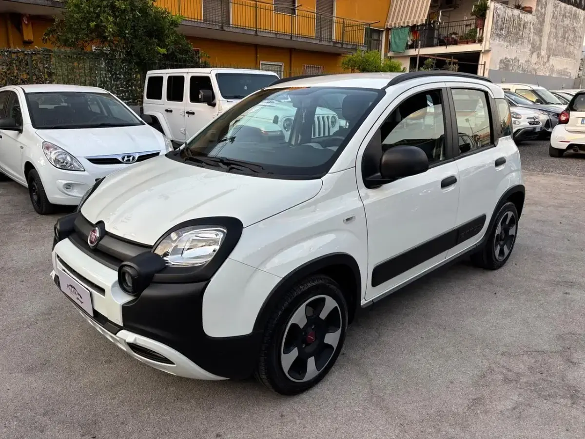 Usata Fiat Panda Cross Cross 69 CV (50 kW) 2021 Bianco Utilitaria