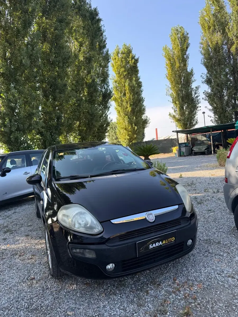 Usata Fiat Punto Evo Emotion 95 CV (69 kW) 2009 Utilitaria