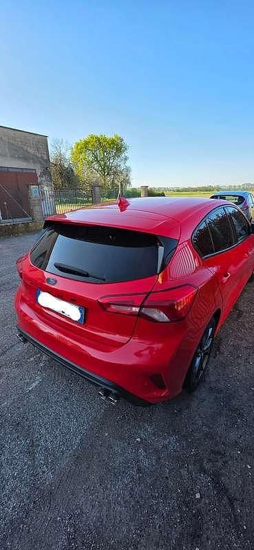 Usata Ford Focus ST-Line 125 CV (91 kW) 2019 Rosso Berlina