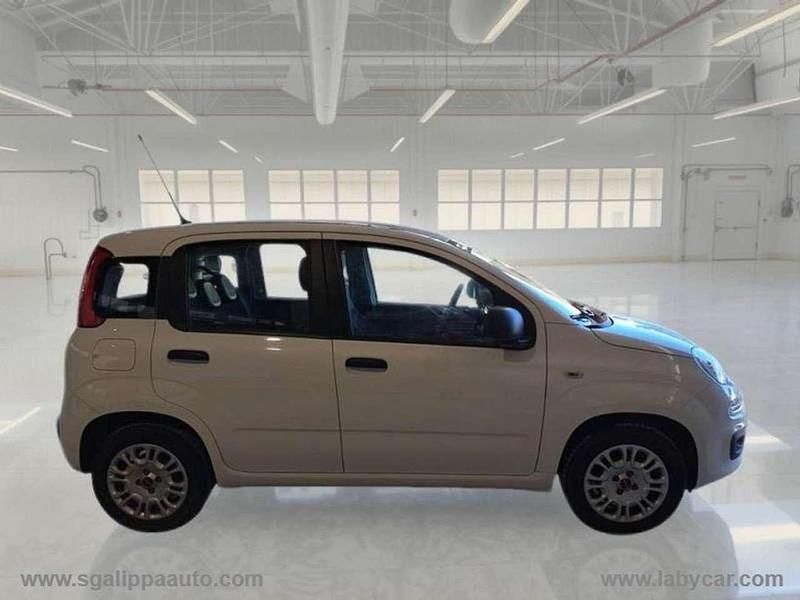 Usata Fiat Panda Easy 69 CV (50 kW) 2020 Bianco Utilitaria