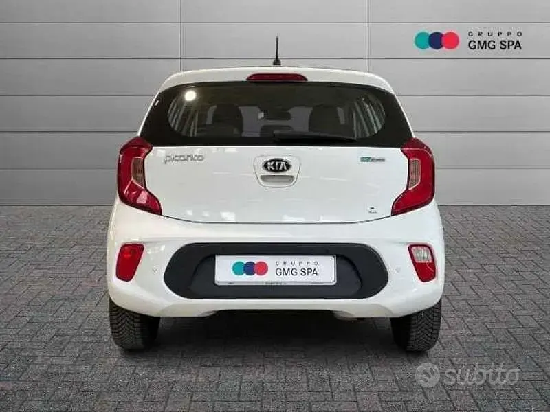 Usata Kia Picanto Active 65 CV (47 kW) 2020 Bianco Utilitaria