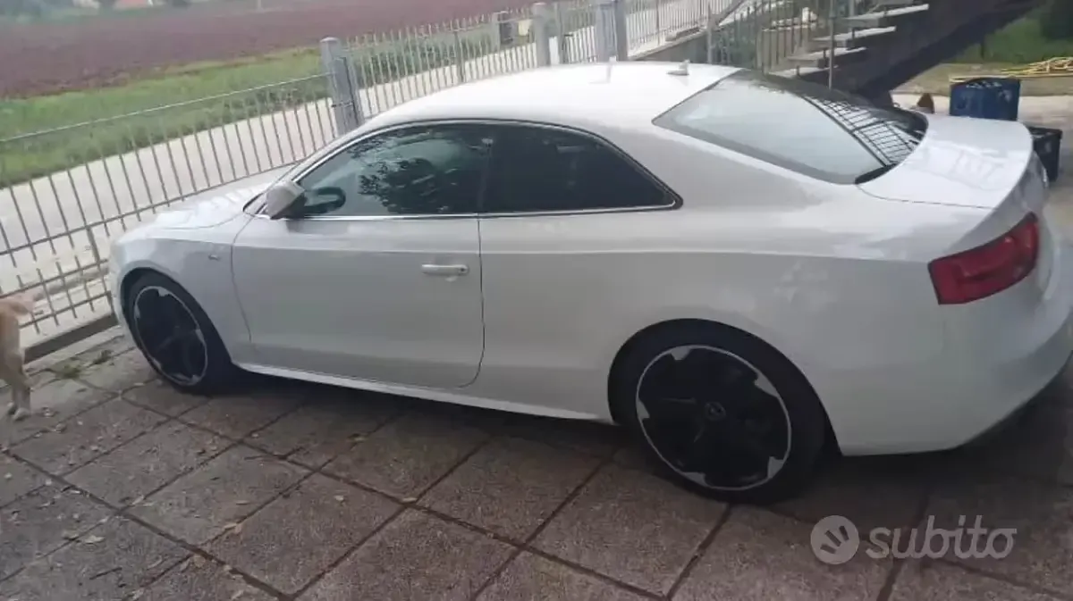 Usata Audi A5 2015 Bianco Coupé