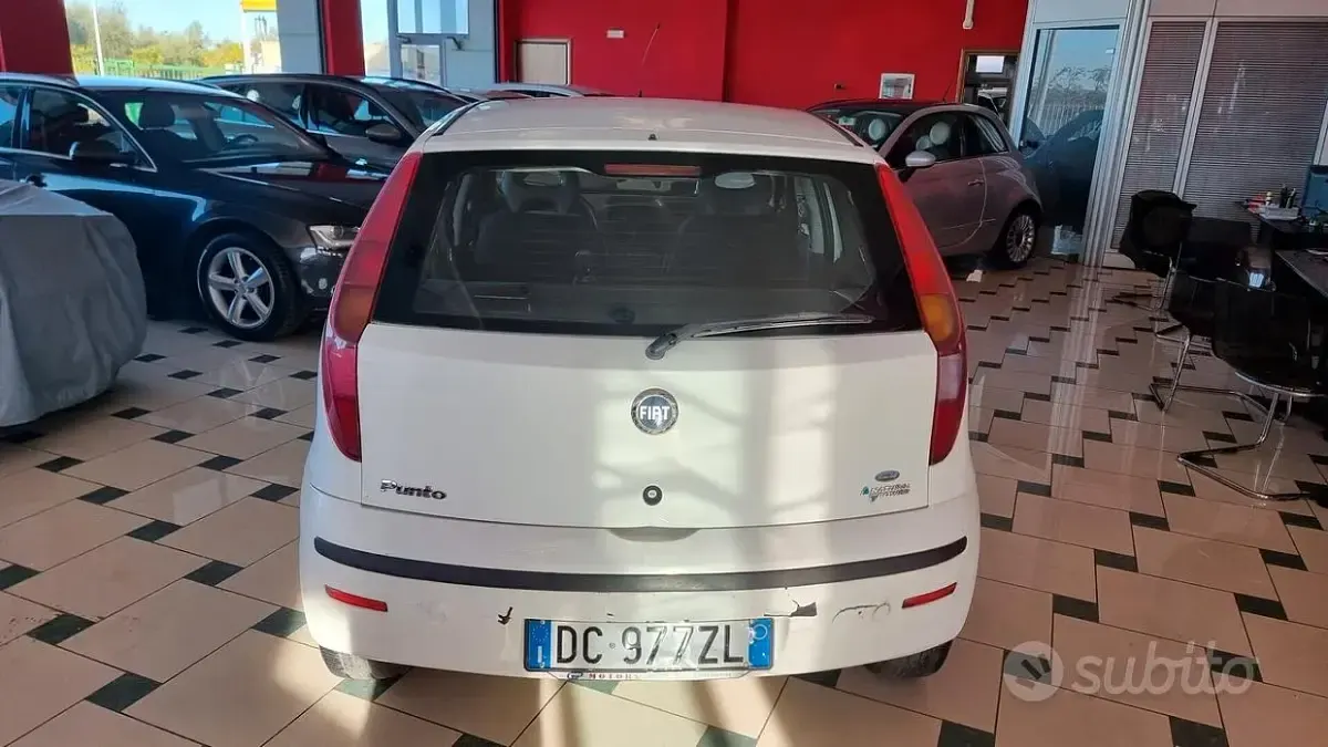 Usata Fiat Punto Active 60 CV (44 kW) 2006 Bianco Utilitaria