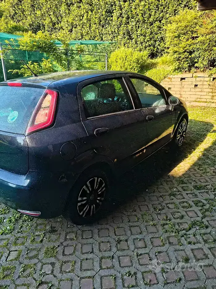 Usata Fiat Punto 69 CV (50 kW) 2014 Utilitaria