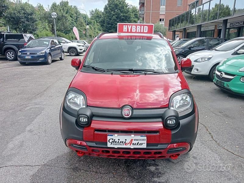 Usata Fiat Panda Cross Cross 69 CV (50 kW) 2024 Rosso Utilitaria