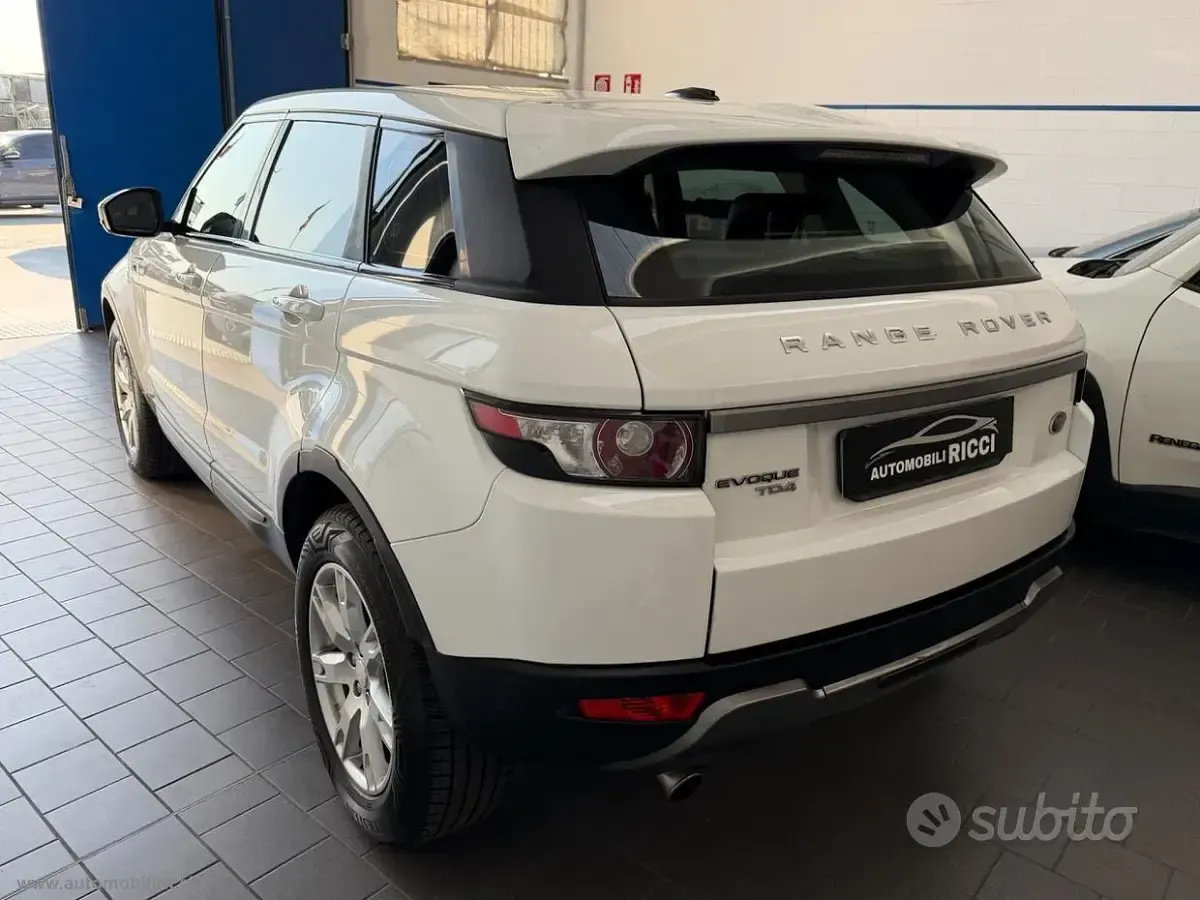 Usata Land Rover Range Rover evoque Prestige 150 CV (110 kW) 2014 Bianco SUV